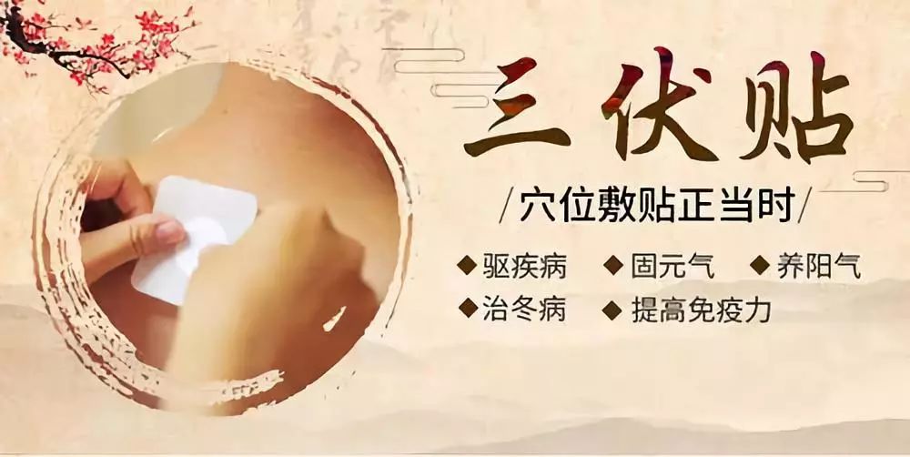 關(guān)于三伏貼，你了解多少呢？